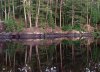 bwca4.JPG