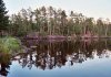 bwca5.JPG