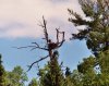bwca6.JPG