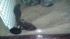 uploadfromtaptalk1353513436773.jpg