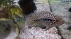 2012-11-25_11-48-26_143.jpg