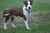 DSC_1621.JPG