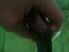 uploadfromtaptalk1354069918949.jpg