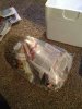 ImageUploadedByMonsterAquariaNetwork1354124579.410249.jpg