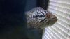 2012-11-28_18-31-06_635.jpg