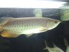 20121124_004648.jpg