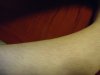 DSC09240.JPG