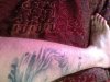ImageUploadedByMonsterAquariaNetwork1354381838.349306.jpg