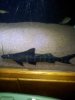 20121127_222807.jpg
