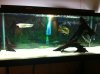 photo 2 (2).JPG