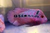 New_IMG_6841.jpg