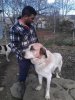 ImageUploadedByMonsterAquariaNetwork1354564159.849846.jpg ImageUploadedByMonsterAquariaNetwork1354564159.849846.jpg