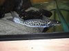 DSCF3716.JPG