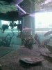 uploadfromtaptalk1354992706001.jpg