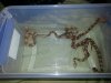 20121207_213809.jpg