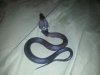 20121207_235034.jpg