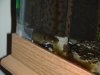 DSC01176.jpg
