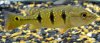 12152012Bloop2MonthC.jpg