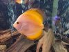 20121215_193734.jpg