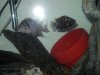 DSCN3202.JPG