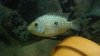 2012-12-20_13-27-26_391.jpg