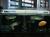 DSCF1789.jpg DSCF1789.jpg