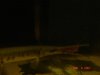 DSC01163.JPG