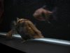 DSC02136.JPG