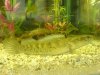 DSC00093.jpg