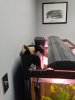 011.JPG
