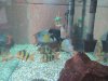 user328_pic1617_1347123694.jpg