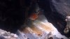 2012-12-27_19-11-35_314.jpg