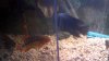 2012-12-27_18-46-24_782-1.jpg
