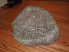 DSCN1980.JPG