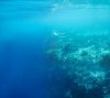 14092792-adventurous-woman-snorkeling-underwater-along-the-edge-of-a-reef--copyspace.jpg