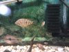 IMG_20130107_002314.jpg