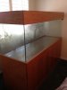 fish 1173.jpg