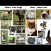 dogscats.jpg