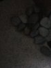 ImageUploadedByMonsterAquariaNetwork1358091357.385152.jpg