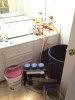 ImageUploadedByMonsterAquariaNetwork1358110414.695993.jpg ImageUploadedByMonsterAquariaNetwork1358110414.695993.jpg