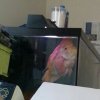 IMG_20121118_113920.jpg