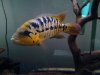 20130117_235219.jpg