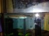 20130119_191856.jpg