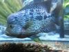 20130120_132943.jpg