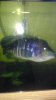 IMAG0308.jpg