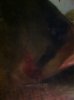 ImageUploadedByMonsterAquariaNetwork1358860395.855603.jpg ImageUploadedByMonsterAquariaNetwork1358860395.855603.jpg