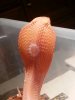 20130120_230443.jpeg