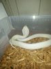 20130122_171120.jpeg