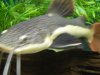 DSCN4672.JPG