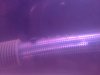 ImageUploadedByMonsterAquariaNetwork1359071745.216889.jpg
